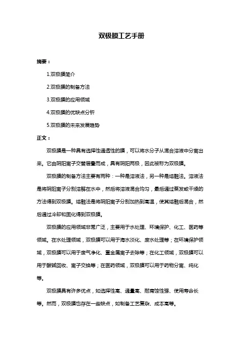 双极膜工艺手册