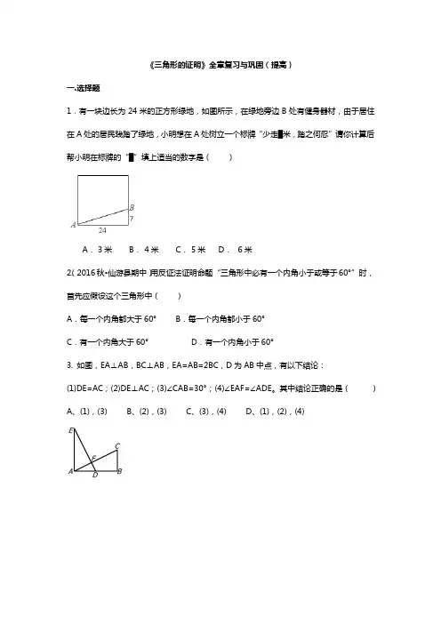 三角形的证明提高练习题