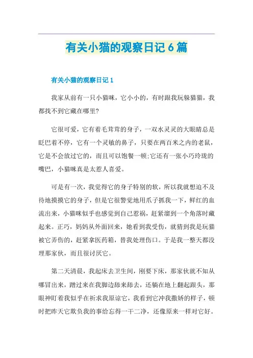 有关小猫的观察日记6篇
