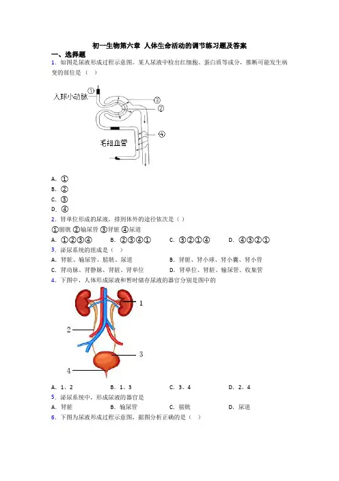 初一生物第六章 人体生命活动的调节练习题及答案