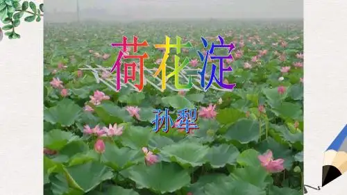 高教版中职语文(基础模块)上册第11课《荷花淀》ppt课件2