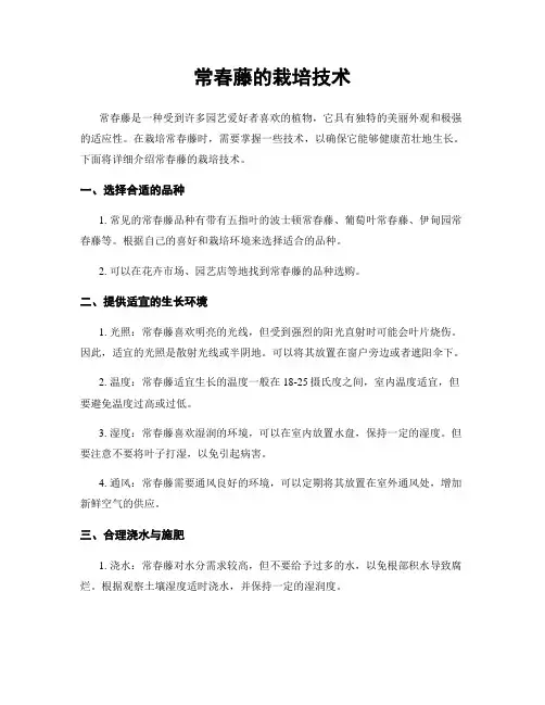 常春藤的栽培技术