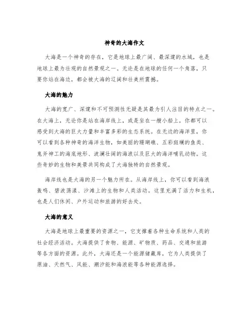神奇的大海作文 2