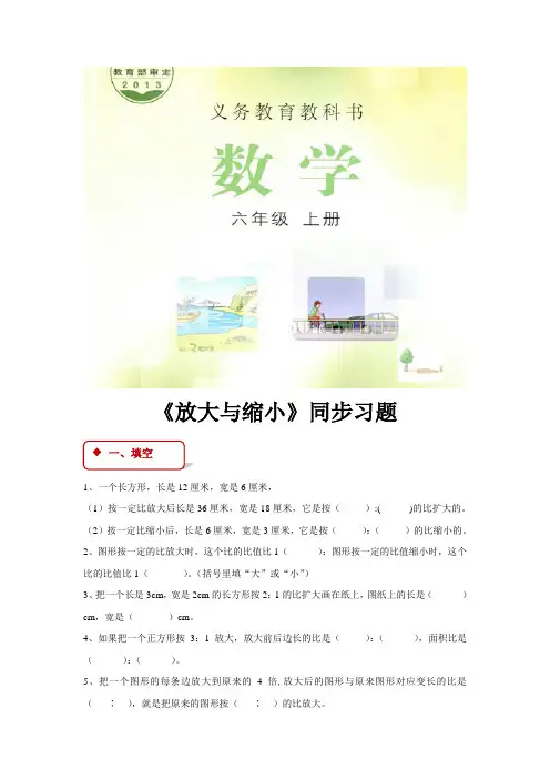 冀教版六年级数学上册同步练习题《放大与缩小》