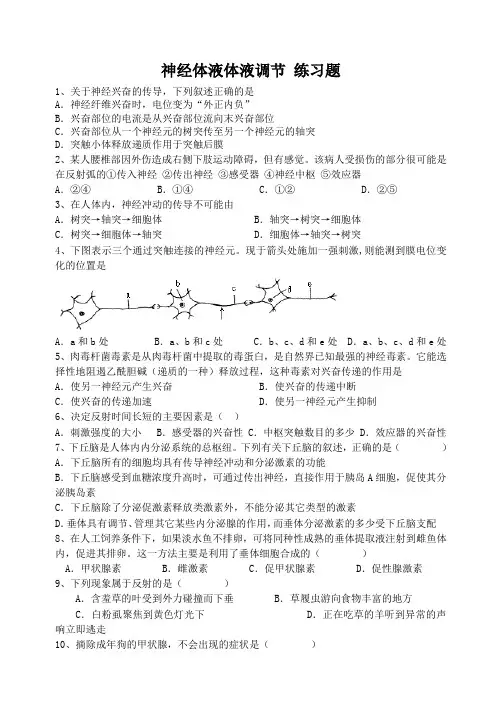 神经体液体液调节 练习题