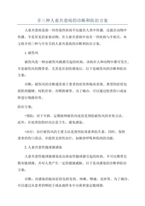 羊三种人畜共患病的诊断和防治方案