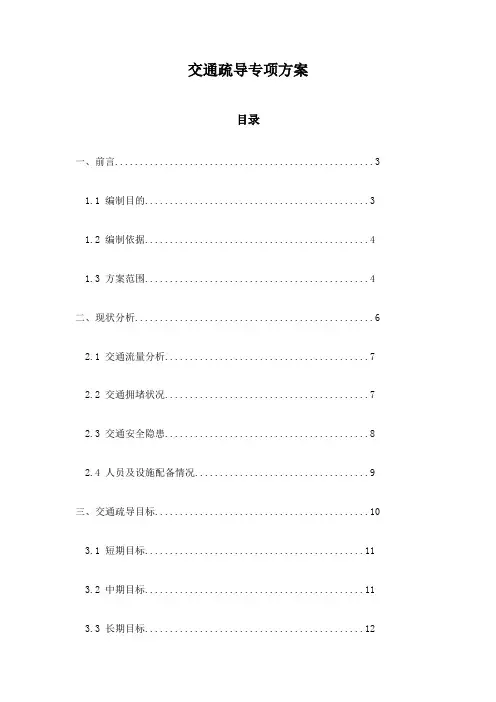 交通疏导专项方案