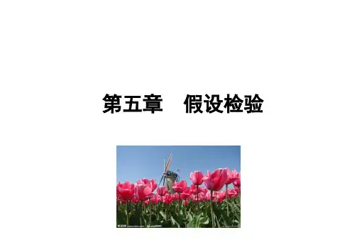 第5章  假设检验