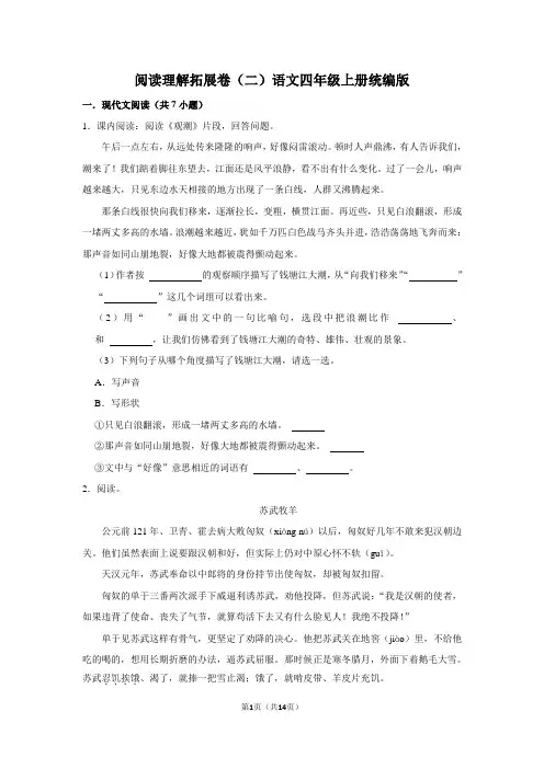 阅读理解拓展卷(二)语文四年级上册统编版