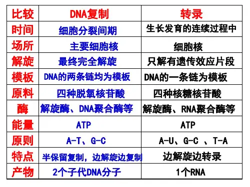 人教版生物必修二4.1.2密码子(共10张PPT)
