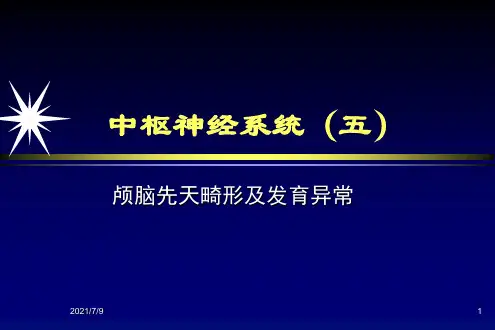 中枢神经系统-畸形或发育异常
