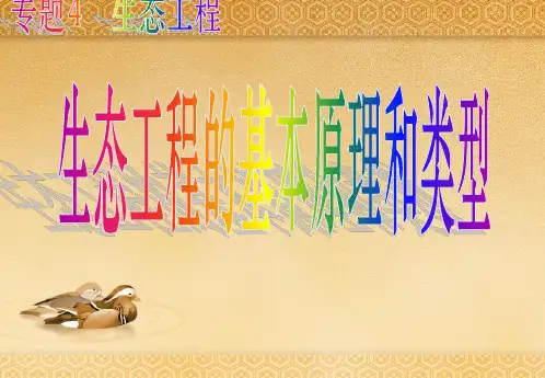 生态工程的基本原理和类型