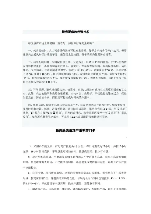 绿壳蛋鸡的养殖技术