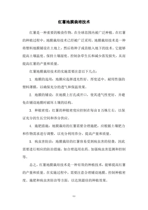 红薯地膜栽培技术