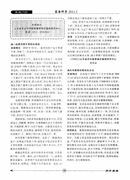 肉鸡葡萄球菌病的诊治