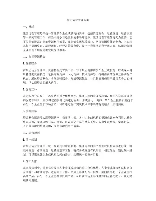 集团运营管理方案