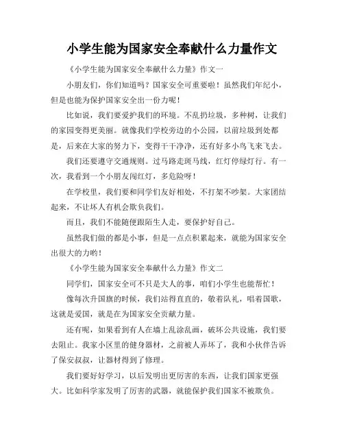 小学生能为国家安全奉献什么力量作文
