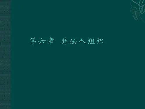06.民法与民诉法之六非法人组织