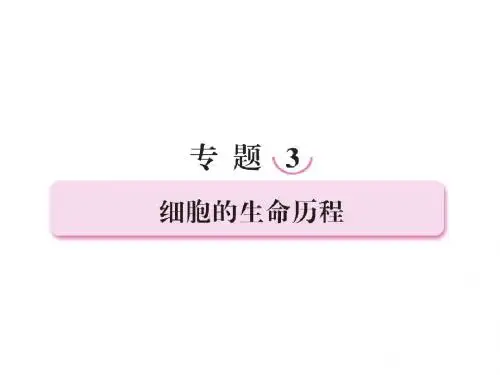 2013年高考生物总复习重点精品课件： 细胞的生命历程 【高考冲刺】