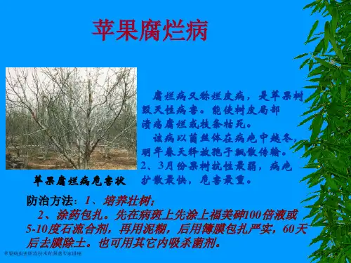 苹果病虫害防治技术有图谱专家讲座