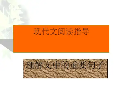 高考复习现代文阅读理解文中重要句子的含义ppt