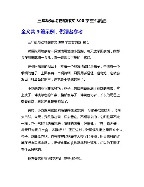 三年级写动物的作文300字左右鹦鹉