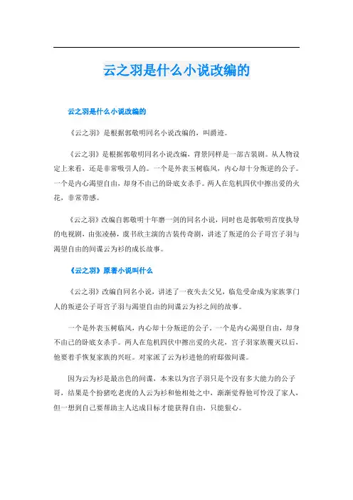 云之羽是什么小说改编的