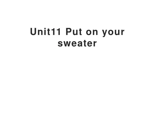 五年级上册英语课件 Unit11 Put on your sweater
