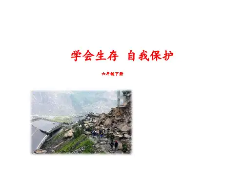 六年级下册语文课件-口语交际习作四 人教新课标 (共10张PPT)