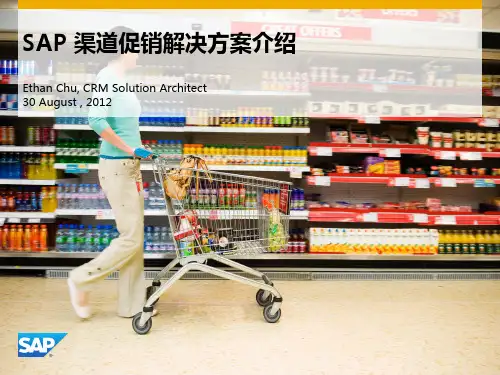 SAP渠道促销解决方法介绍新