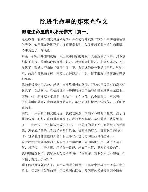 照进生命里的那束光作文