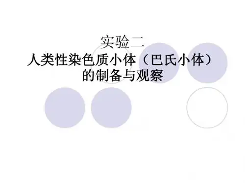 人类性染色质小体的制备和观察