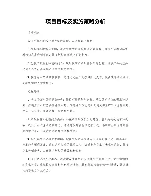 项目目标及实施策略分析
