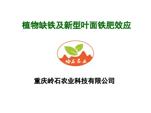 【VIP专享】植物缺铁及新型叶面铁肥效应