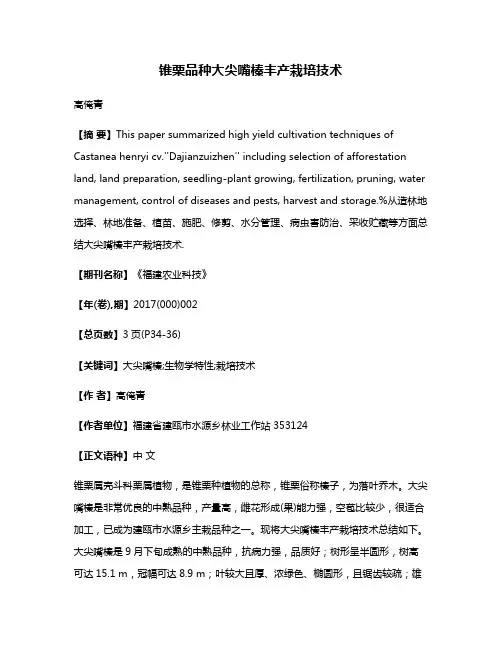 锥栗品种大尖嘴榛丰产栽培技术