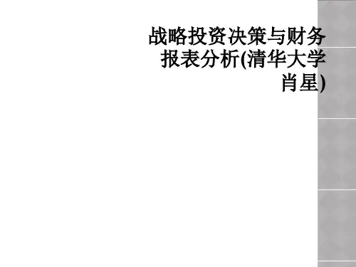 战略投资决策与财务报表分析(清华大学 肖星)