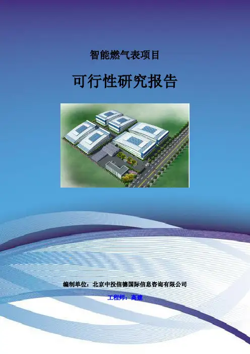 智能燃气表项目可行性研究报告-中投信德