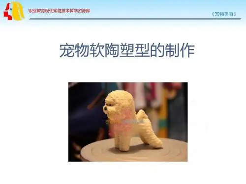 宠物软陶塑型