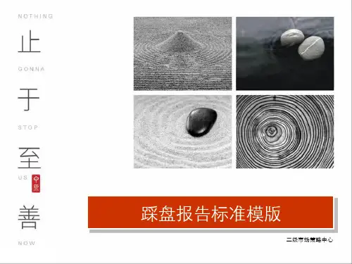 踩盘报告模版