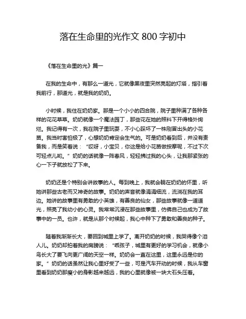 落在生命里的光作文800字初中