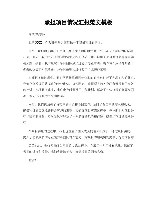 承担项目情况汇报范文模板