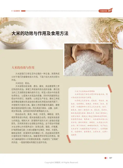 大米的功效与作用及食用方法