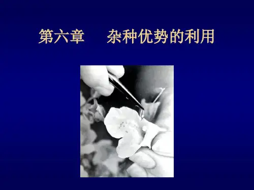 园林植物遗传育种学第六章杂种优势的利用