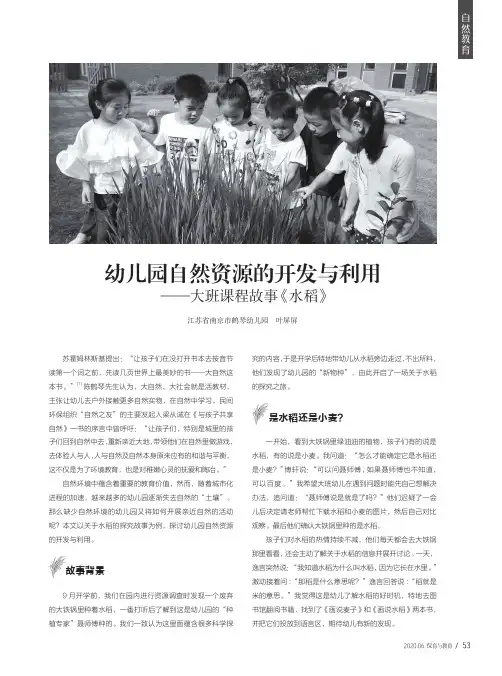 幼儿园自然资源的开发与利用——大班课程故事《水稻》