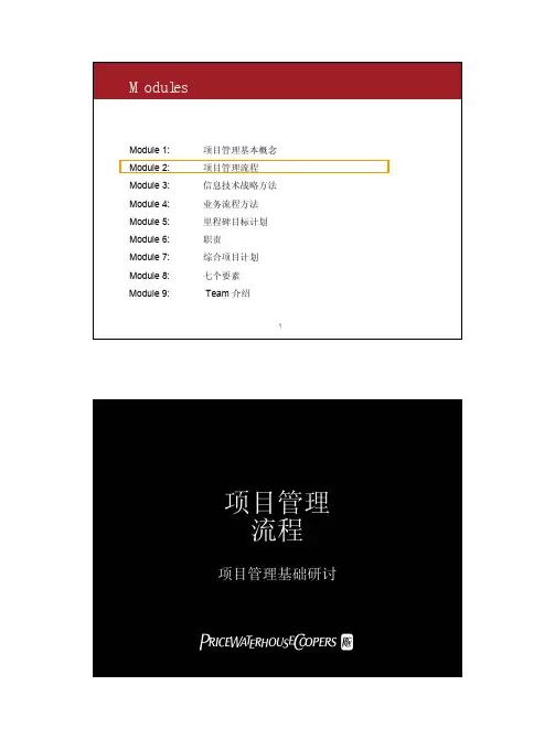 普华永道的项目管理流程