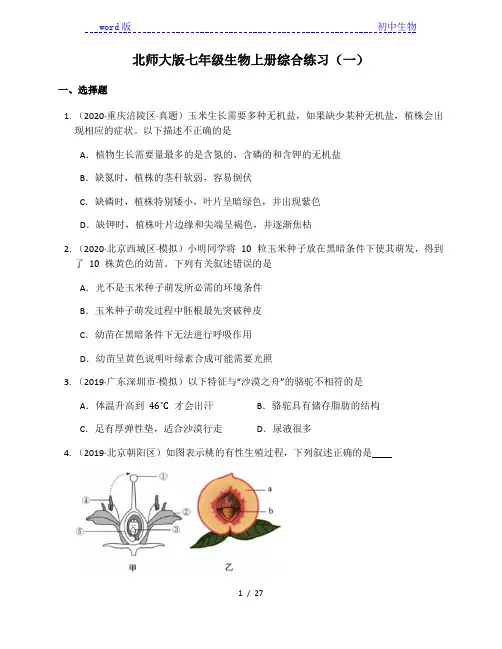 北师大版七年级生物上册综合练习(一)(附解析)