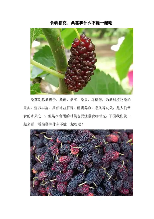 食物相克：桑葚和什么不能一起吃
