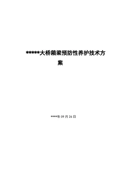 大桥预防性养护方案