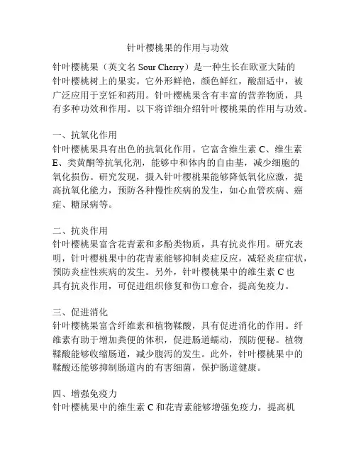 针叶樱桃果的作用与功效