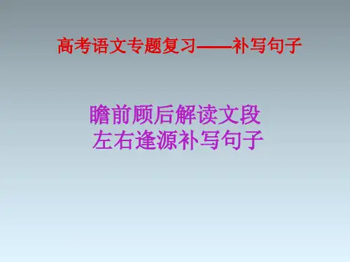 高考语文专题复习——补写句子